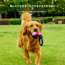 インタラクティブなブレックファーストシリーズのラリーおもちゃ【遊びやすい・動き回る】