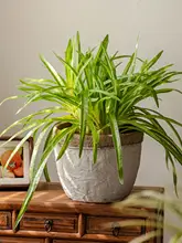 フェイクグリーンプランツ 吊りバスケット 植物ウォールデコレーション
