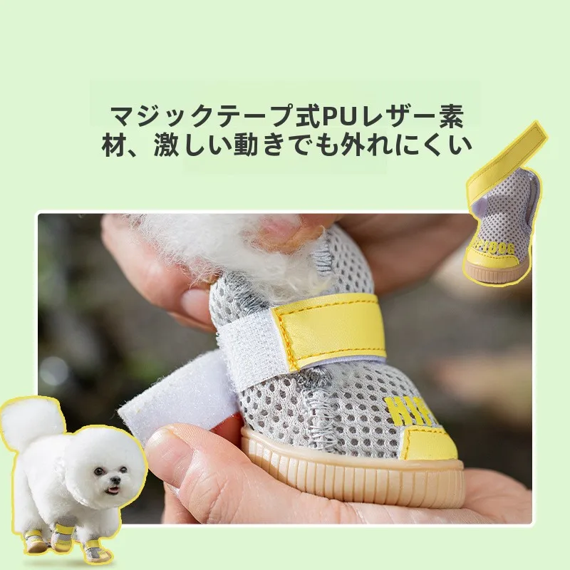 ペットと過ごすおうち時間に欠かせない「快適な足元」は、犬用シューズの選び方で決まる？
