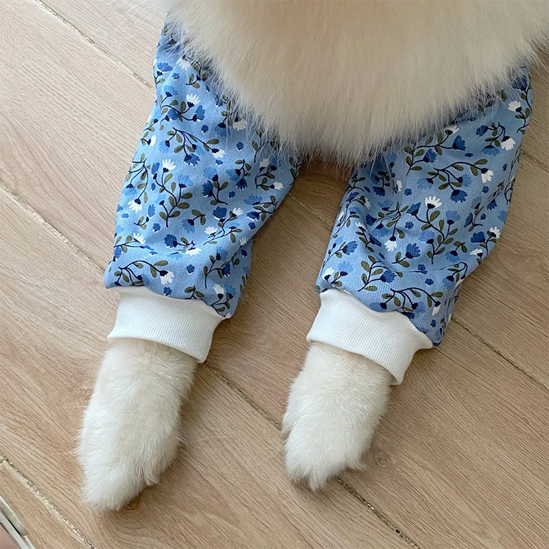 犬用関節保護膝当て：中型・大型犬向けの夏季対応設計と実用性解析