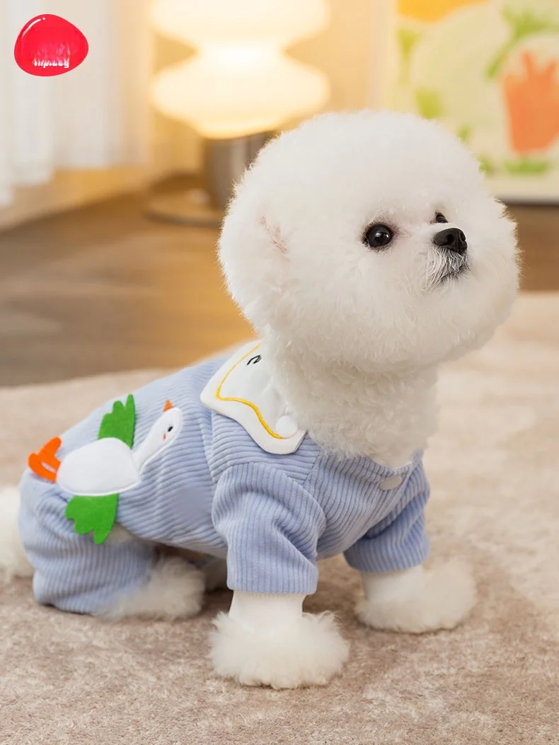 生後3ヶ月の犬にぴったりの服は、どんなものがあるの？