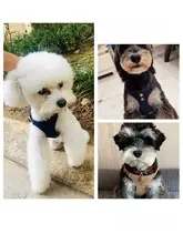 Puppytie 胸付リード【中小型犬用・コーギー・テディベア犬対応・ペット用】