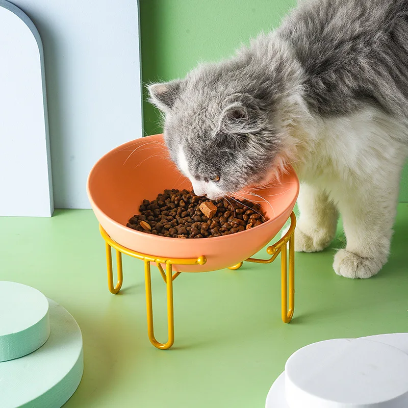 猫飼いが買ってよかったもの・悪かったもの正直に言う｜陶器製二重食器の傾斜口と高さ調整機能
