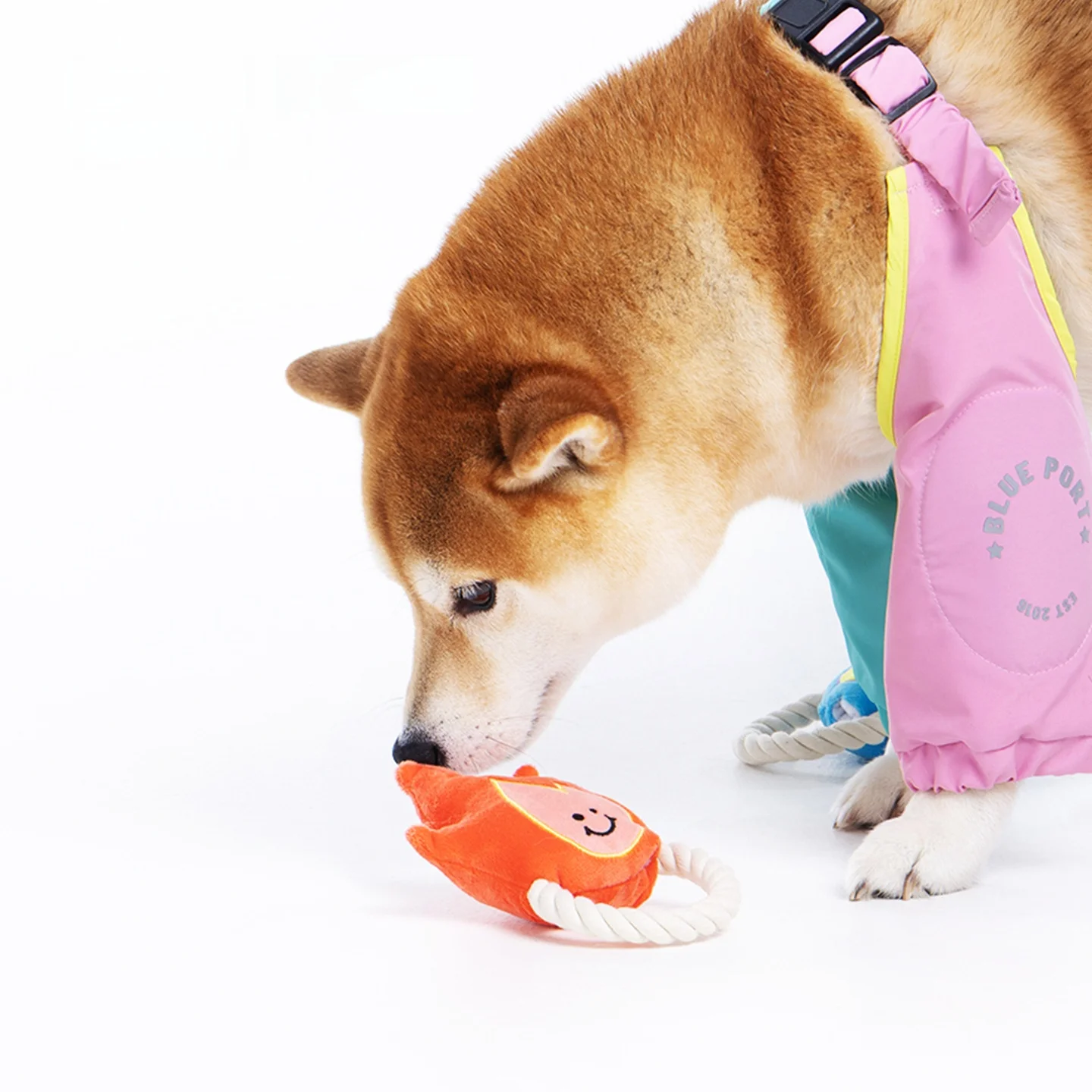 インタラクティブ犬用ロープおもちゃ：発声機能と耐噛みで室内飼育に最適なトレーニングツール