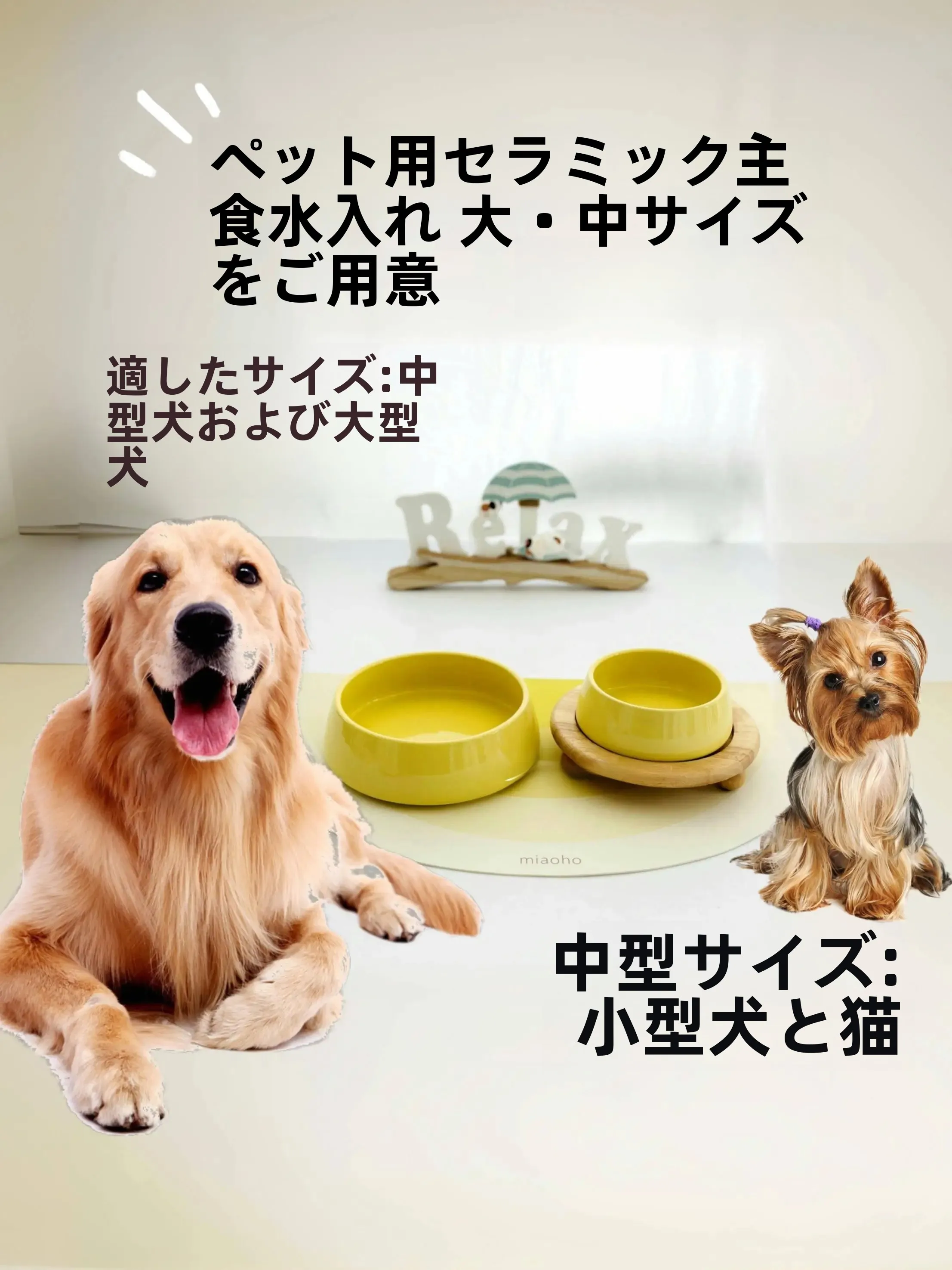 猫飼いが買ってよかったもの・悪かったもの正直に言う｜陶製ボウルの安心と使いやすさ徹底解説