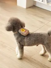 小型犬用牽引リード【ペット用・テディ・アウトドア・胸部ハーネス】