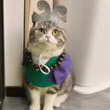ペット コスプレ 犬 猫 沙悟浄 仮装 襟 マント 頭飾り 3点セット ハロウィン
