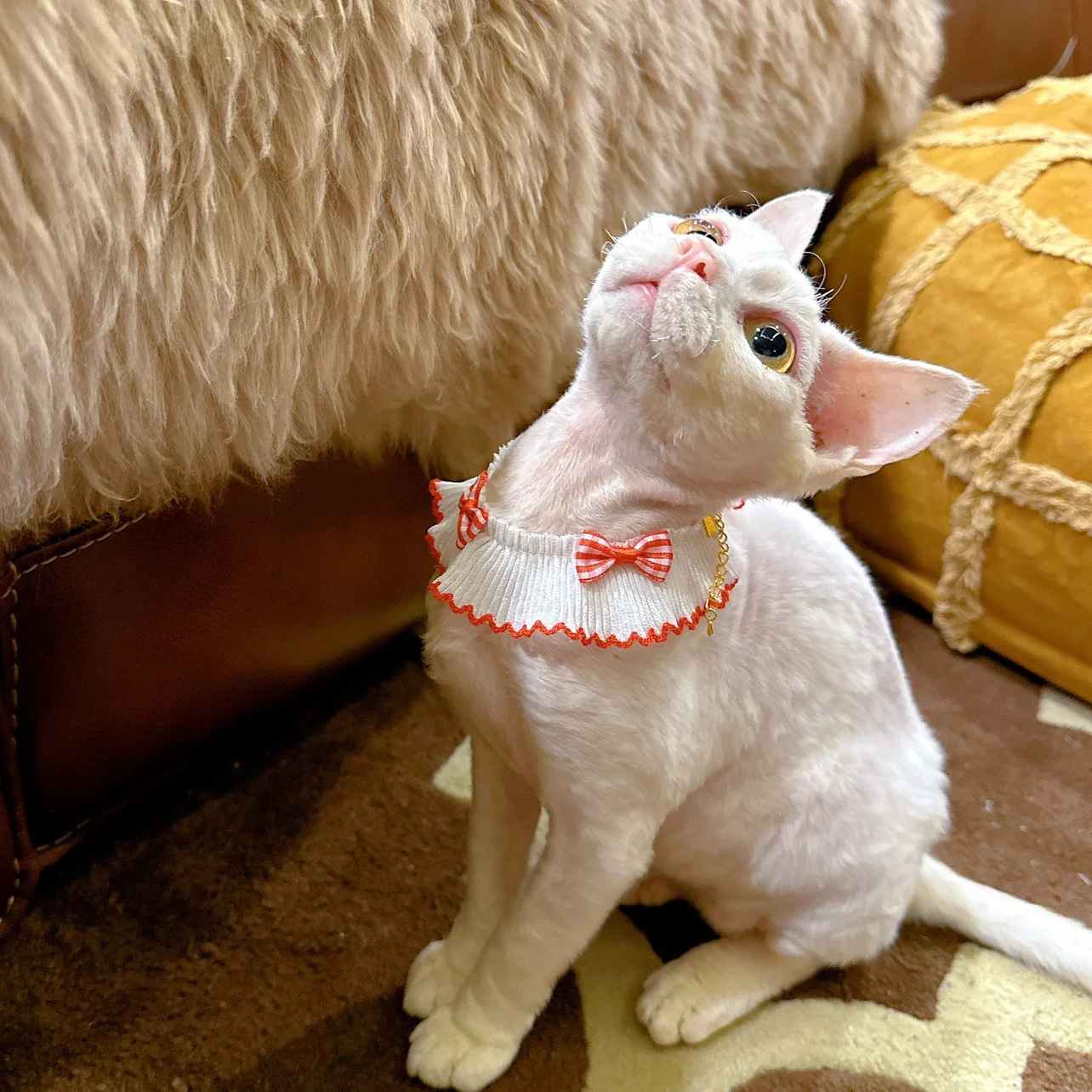 夏用猫用リボン付きスカーフ：Yorkshireスタイルで季節を問わず猫の体温管理をサポート