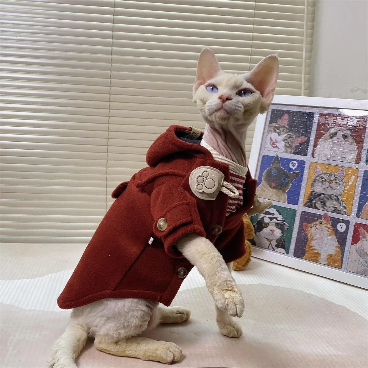 秋冬用 スフィンクス猫用 毛ウールコート：厚手で暖かさとデザインを兼ね備えた実用性解析