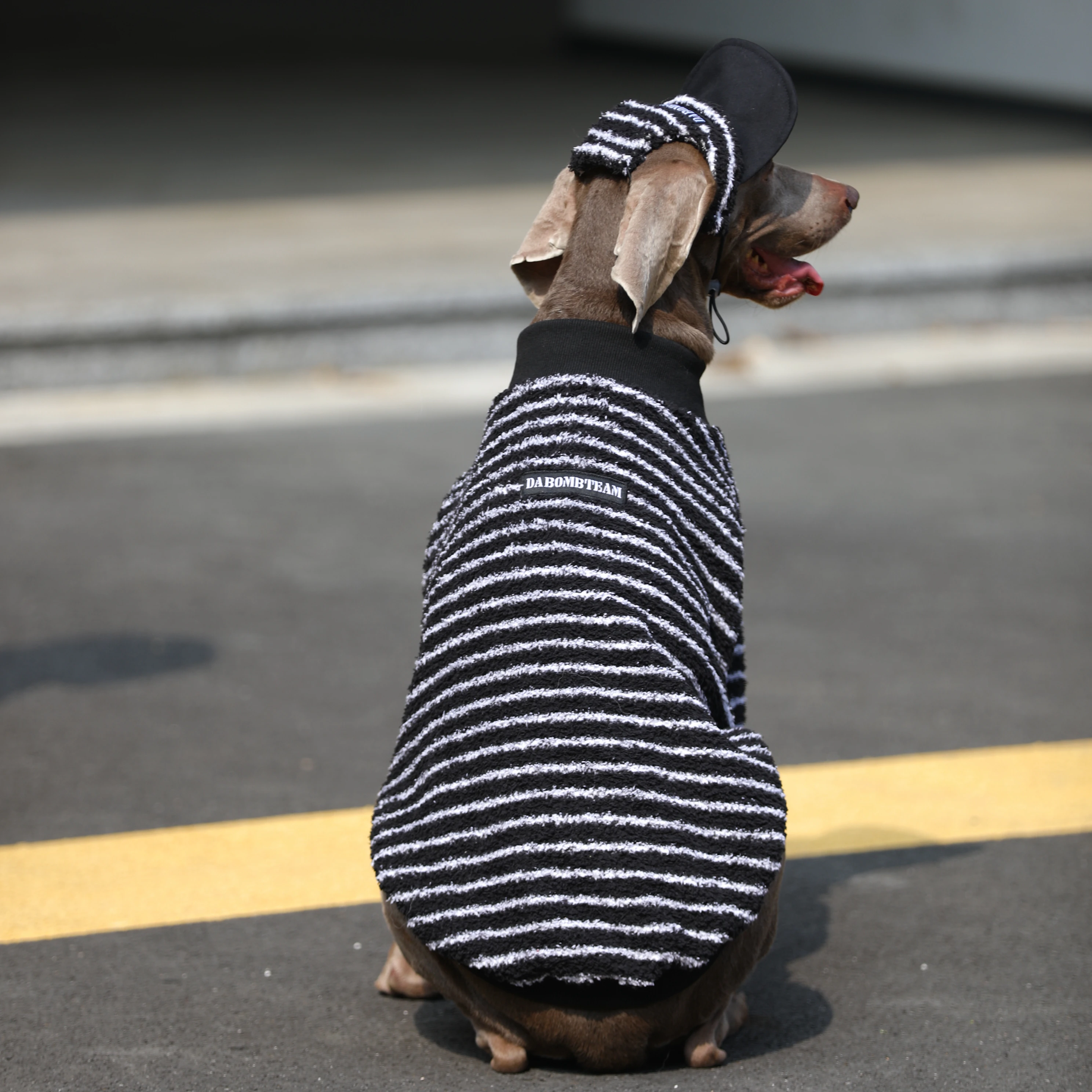 大型犬用ハンモックは冬のアウトドアで保暖性と通気性のバランスを実現