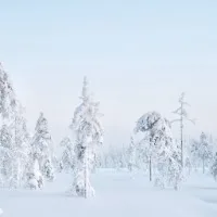 @anna__325