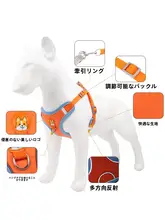 調節可能なハーネス付きリード【中小型犬用・フレンチブルドッグ・パグ・テディベア散歩用】