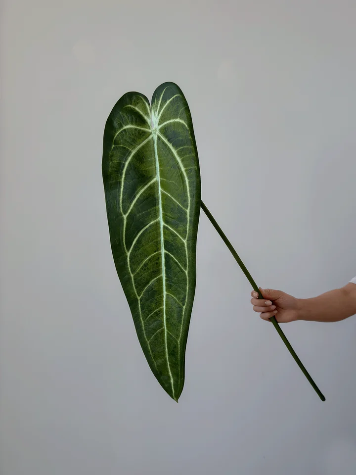 リアルな質感の大型フィ葉人工観葉植物【竹蔓デザイン・高級感ある仕上がり】