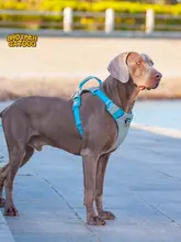 犬用ハーネス【アウトドア・引っ張り防止・ペット用リード付き】