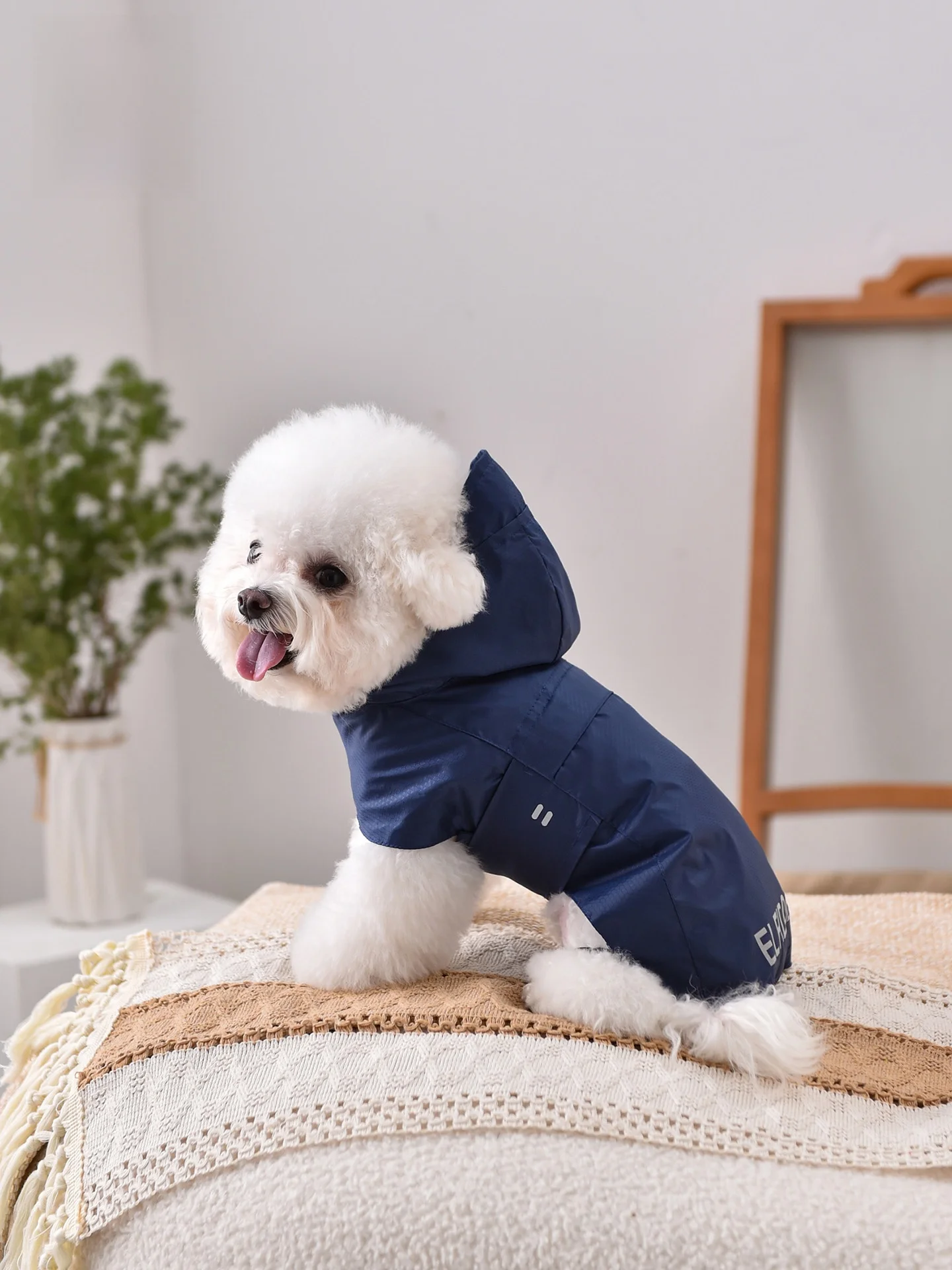 犬のレインコート：ハーネス穴付き・通気性と着脱の利便性を重視した実用モデル