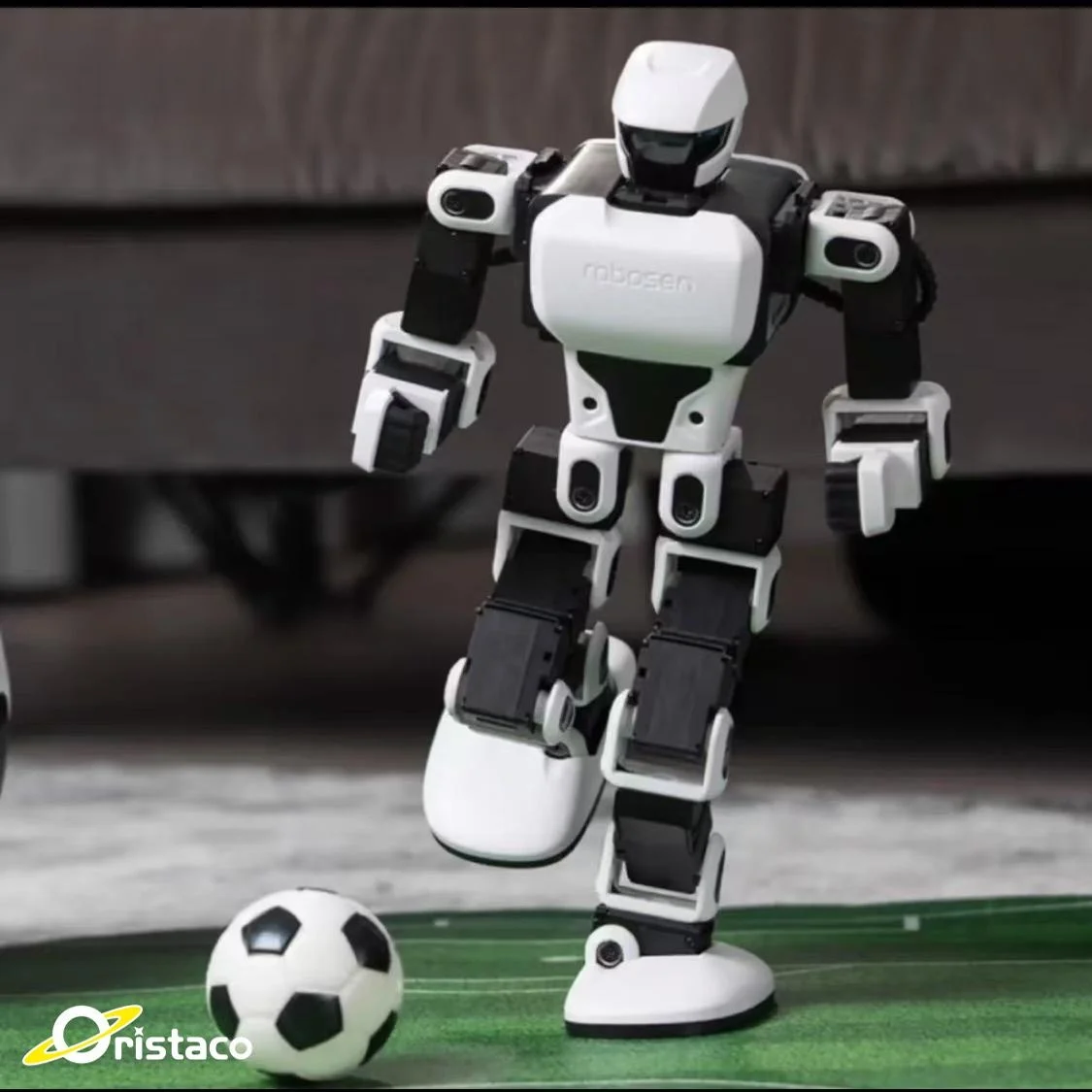 教育ゲームで子どもを育てるには、どんなロボットおもちゃがおすすめ？