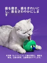 ZEZE 猫用おもちゃ 歯磨き リンゴの木 マタタビ キャットニップ 耐久性 歯の健康 暇つぶし 「zeze」