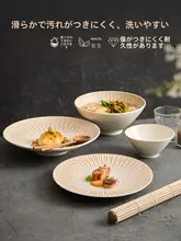 食器セット ご飯茶碗 ラーメン鉢 洋食プレート ゴールド 放射状デザイン 抗菌 防汚 上品 家庭用 飲食店