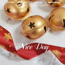 赤いフロッキーデザインのクリスマスツリー用装飾大ベル【雪の結晶と星モチーフ・マット仕上げ】