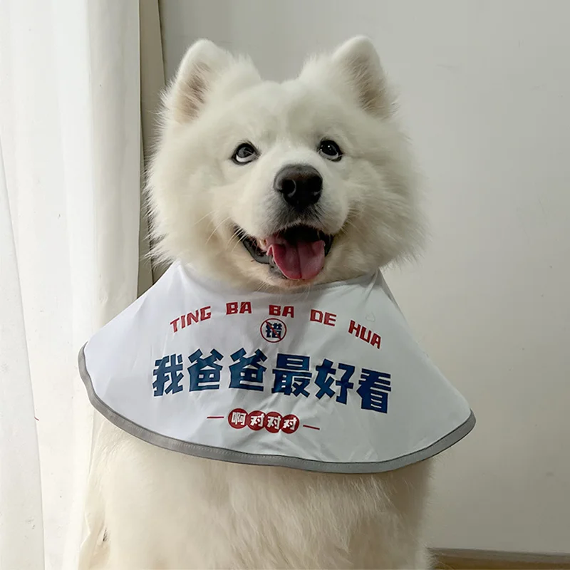 介護犬の日常を彩る、どんなマナーポーチがおすすめなの？