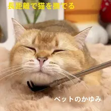 猫のかゆみスクラッチインタラクティブスクラッチ 猫用ティーザー