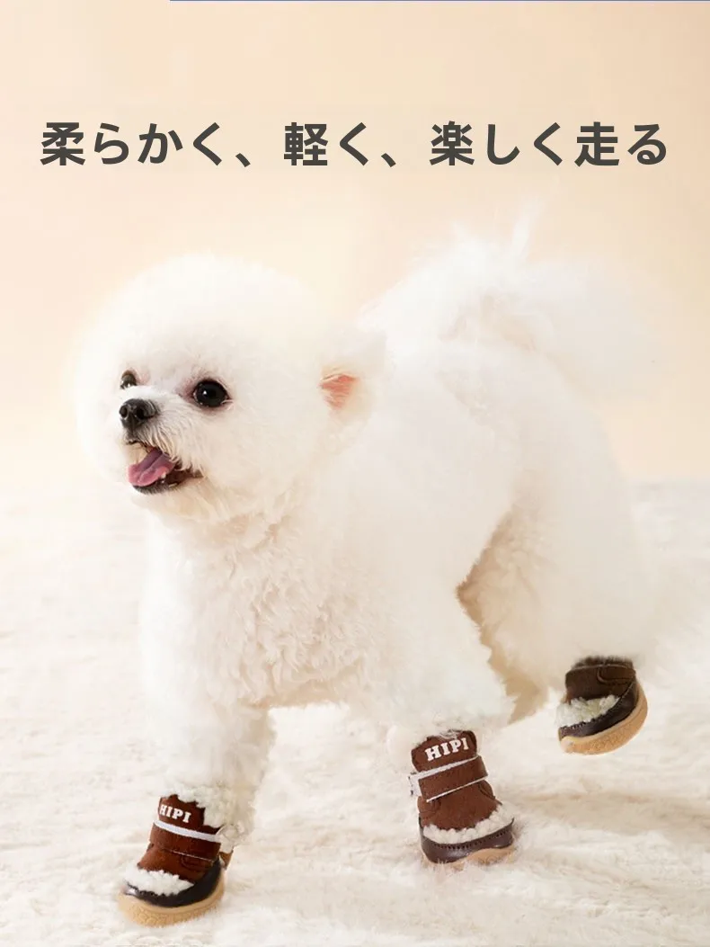 こたつに犬がいるのは安全か？冬のこたつタイムにぴったりなペットシューズの選び方