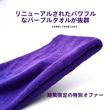 超細繊維車用クロス【ワックス施工・毛が抜けにくい・内装用】