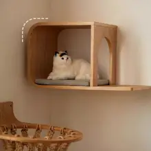 壁掛け猫タワー【スペースを取らない・小型住宅向け・バルコニー対応】（セットアップ対応）