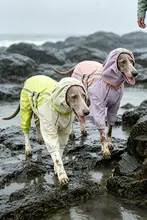 犬用防水レインコート【全身カバー・柴犬や中型犬向け・極上の柔らかさ】（セットアップ対応）
