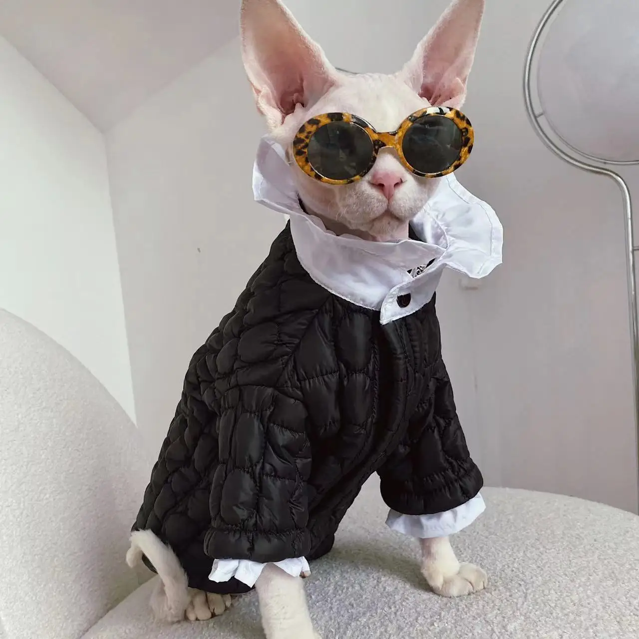 ズボラでも飼えるペットと してのスフィンクス猫用冬用保温服