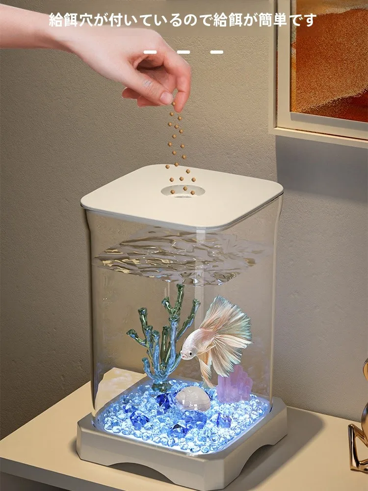 金魚水槽セッ トを買うなら、どう選ぶべき？