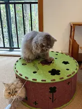 通気性の良いウールの猫ハウス【夏用・迷路型トンネル・おもちゃ機能付き】