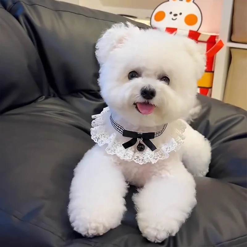 犬の涙やけに効くよだれかけは、本当に必要なのか？
