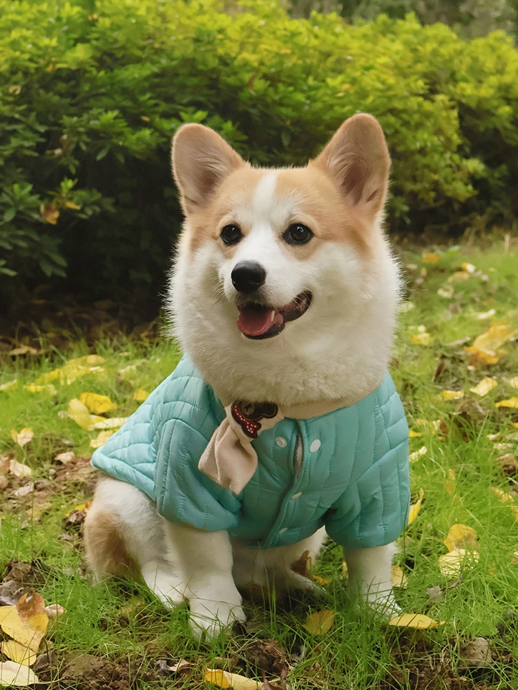 犬用秋冬棉製ジャケット：中型犬向けの保温・通気性バランスを実証