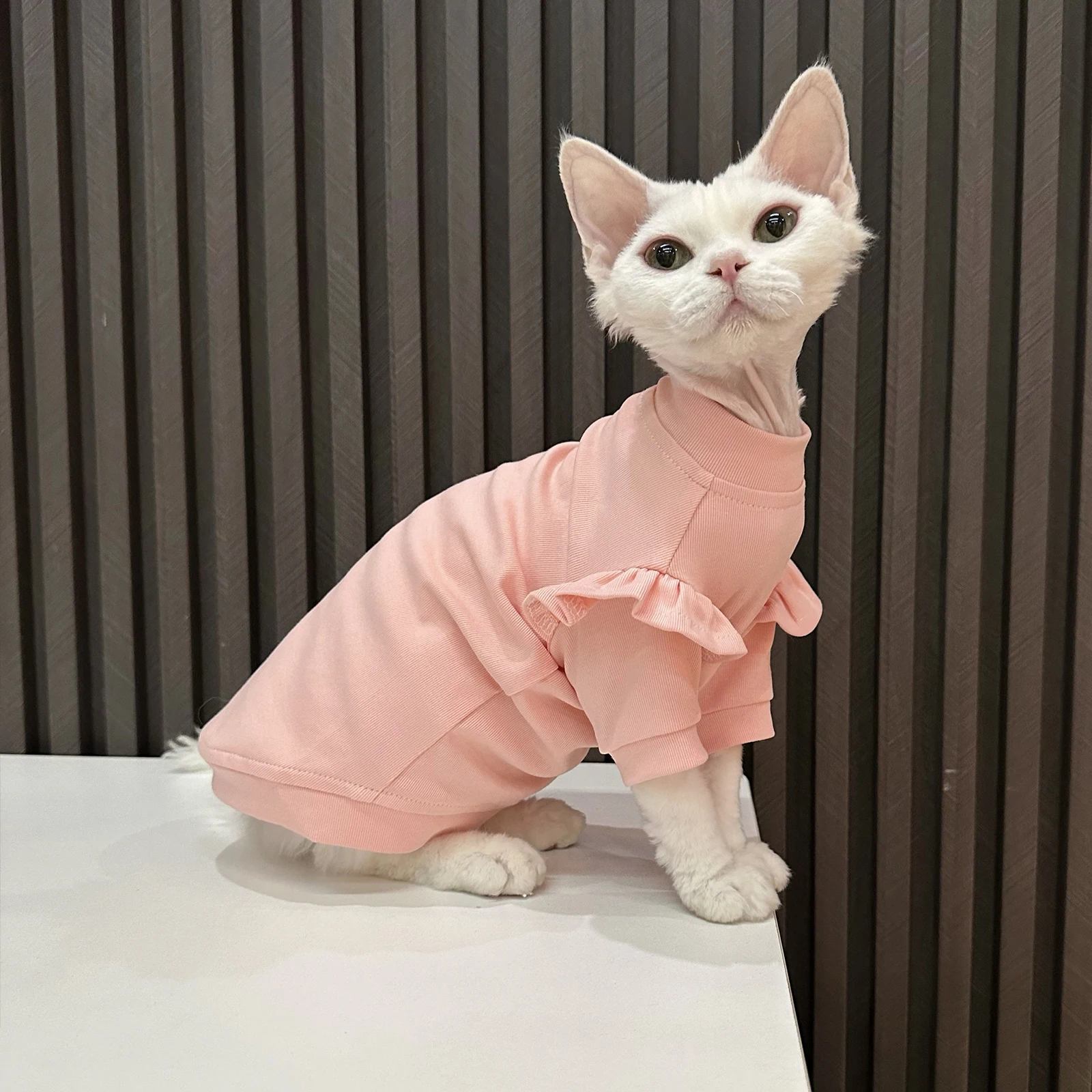 猫グッズブランドおすすめ10選は？実際の生活で使えるアイテムを厳選4選