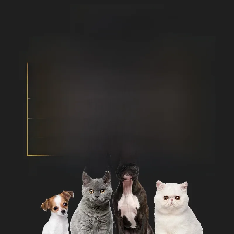 ペット用トイレシート 厚手 犬 猫 うさぎ 使い捨て 吸収