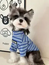 小型犬用 秋冬用タートルネックストライプ服【シュナウザー・テディ・ビション・ポメラニアン向け】