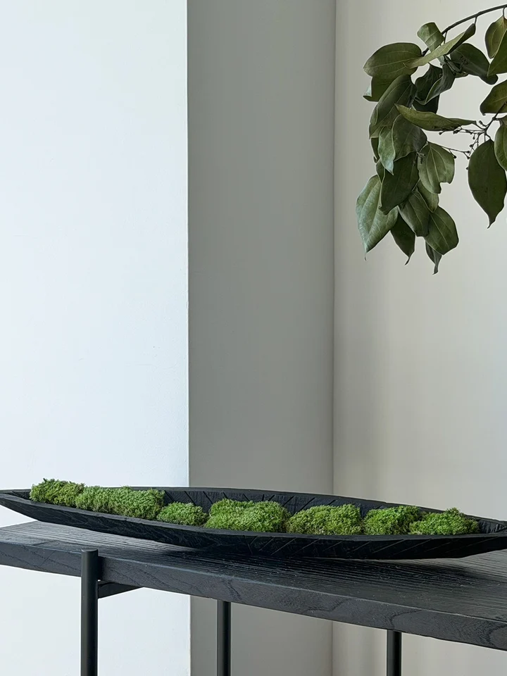 木製トレイ 舟型 観葉植物 ディスプレイ 侘び寂び ホテル 別荘 ロングテーブル センターピース インテリア雑貨