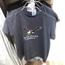 アメリカンスタイルの丸首Tシャツ【半袖・クロップド・鷲のプリント】
