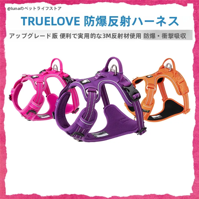 犬のお散歩グッズをコスパ良く揃える方法　完全ガイド