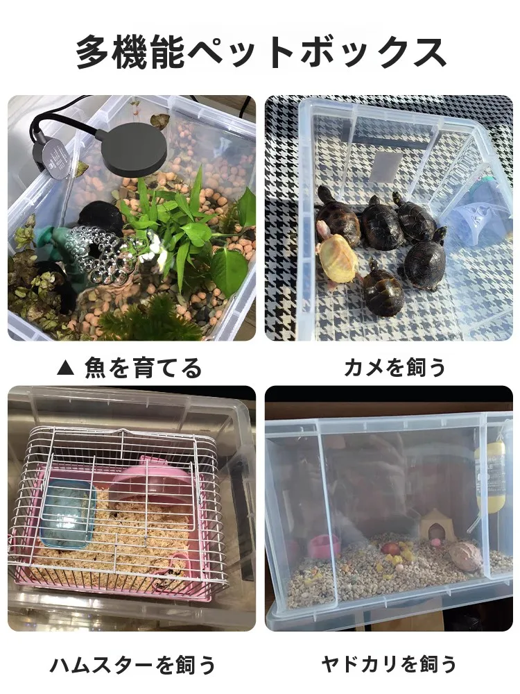 メダカ稚魚飼育に最適な透明プラスチックアクアリウムボックスの選び方