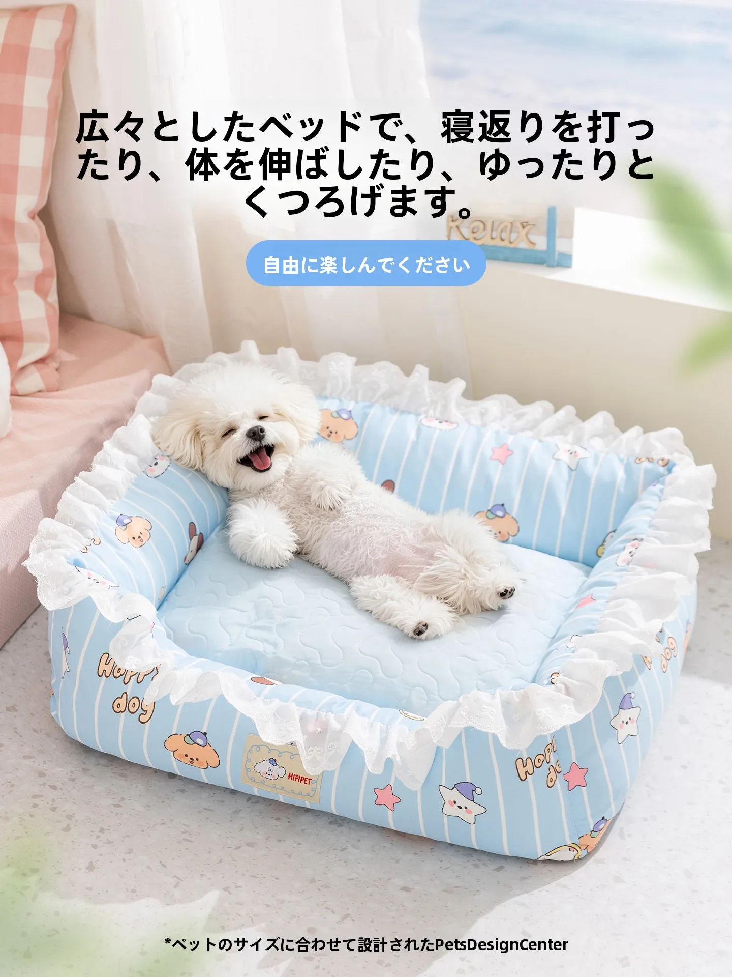 小型犬のベッドを選ぶときに迷うのは、本当に「おしゃれ」なのか？