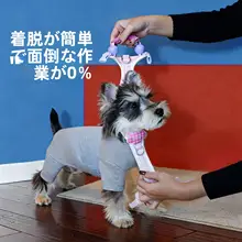 小型犬用 胸付リード【爆発防止・耐久性あり・ペットの散歩に最適】