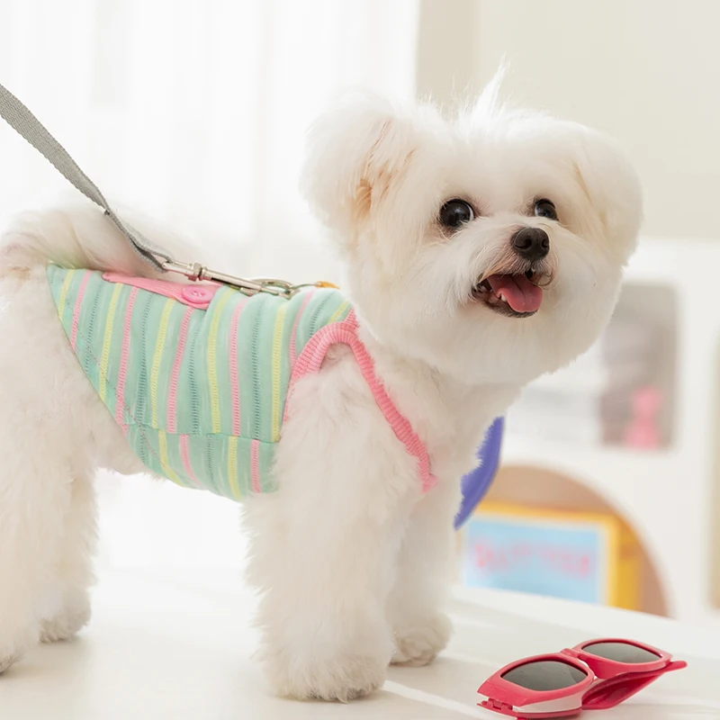 カラフルストライプの小型犬用ハーネス：春夏季向けかわいいデザインの実用性と選定基準