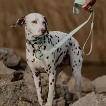 防水加工の大型犬用リード付きカラー【エンボスデザイン・耐久性あり】