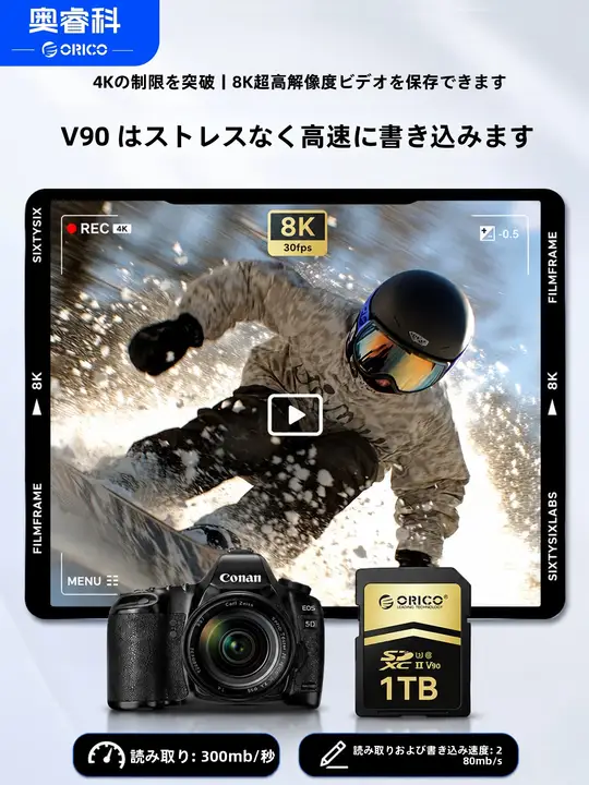 Orico 高性能SDカード【デジタルカメラ用・高速・容量256GB】