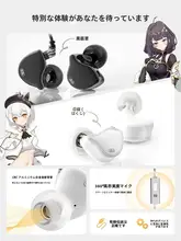 有線HiFiイヤフォン【Type-C接続・ゲーミング用・インイヤー】