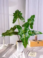 高品質なフェイクグリーン インテリア用観葉植物【デスクトップ装飾・プラスチック製・小さな鉢植え】