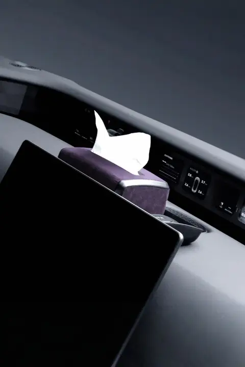 車用収納ボックス【ティッシュボックス付き・後部座席用・タマイズ対応】