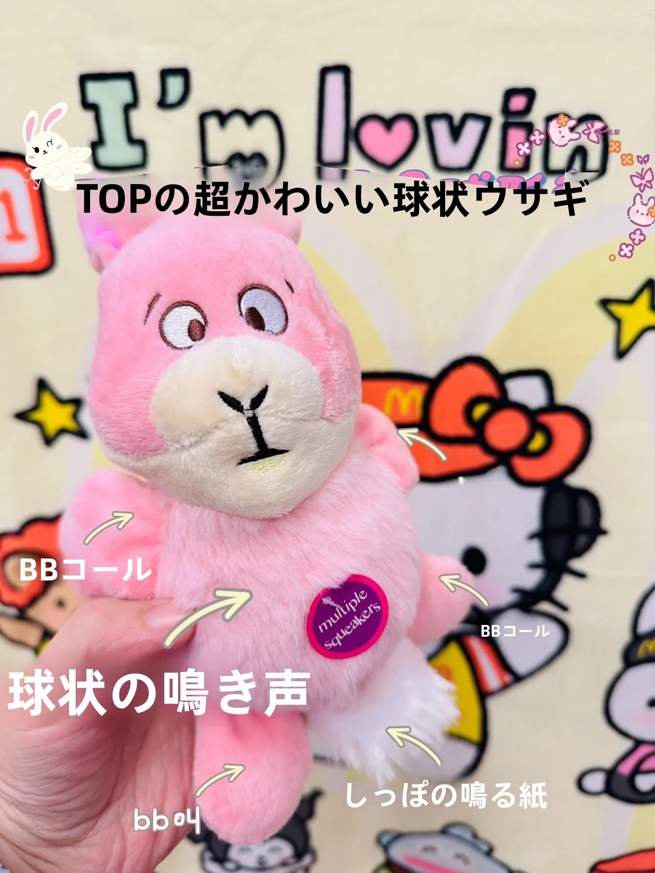 squishmallow とは何か？愛犬に届ける、まるで心を抱きしめるようなウサギのボール型おもちゃとは？